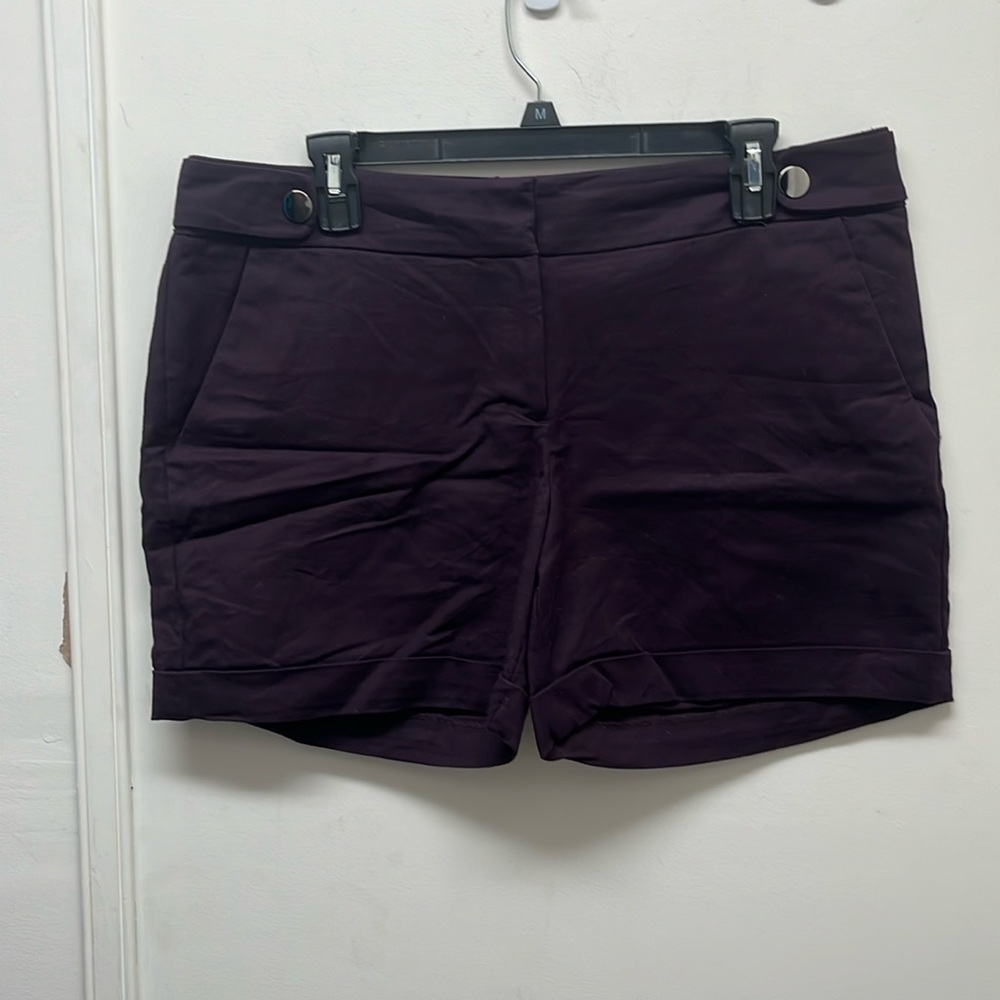 New York & Co. Purple Shorts - Size 12